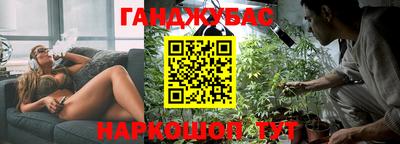 амф Новокубанск