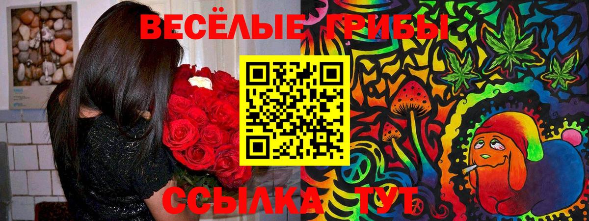 Тайшет  Галлюциногенные грибы мухоморы  Вход с VPN 