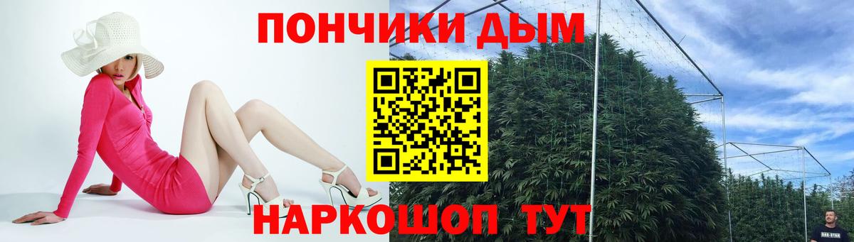 Псилоцибиновые грибы Тайшет